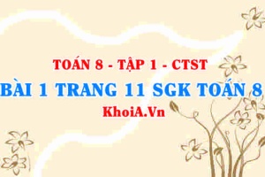 Bài 1 trang 11 SGK Toán 8 Tập 1 Chân trời sáng tạo